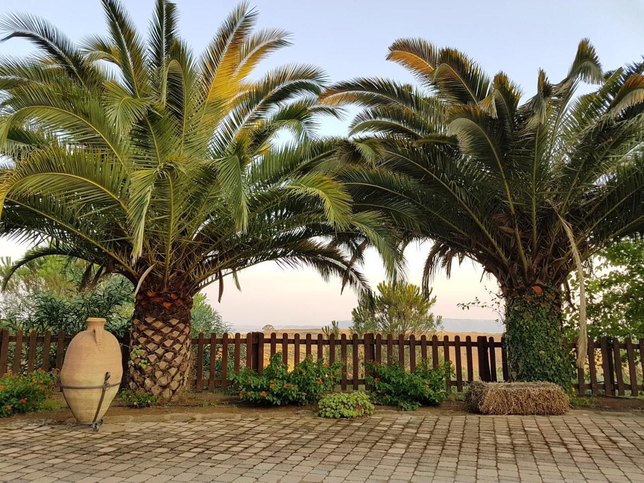 Agriturismo Il Drago Mirabella Imbaccari Екстериор снимка