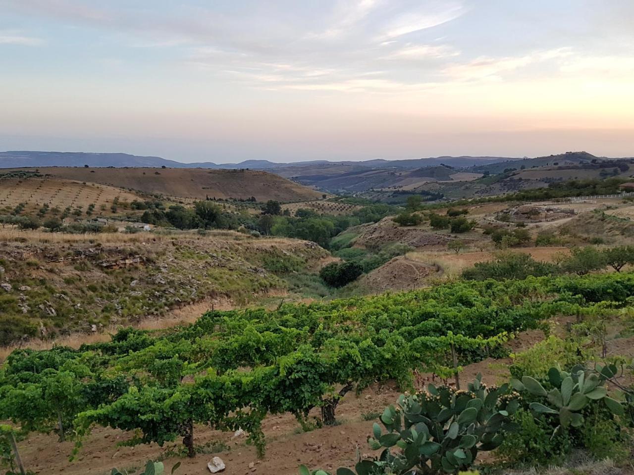 Agriturismo Il Drago Mirabella Imbaccari Екстериор снимка
