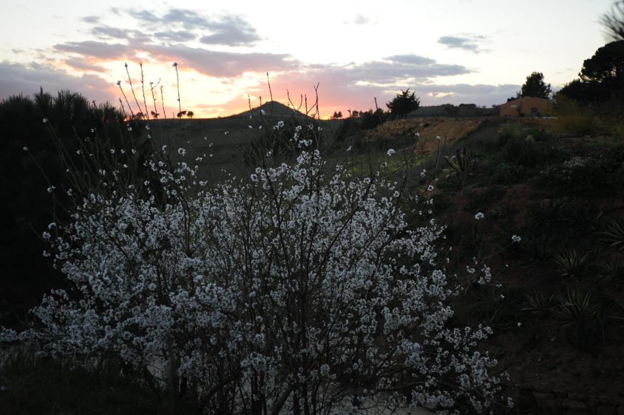 Agriturismo Il Drago Mirabella Imbaccari Екстериор снимка