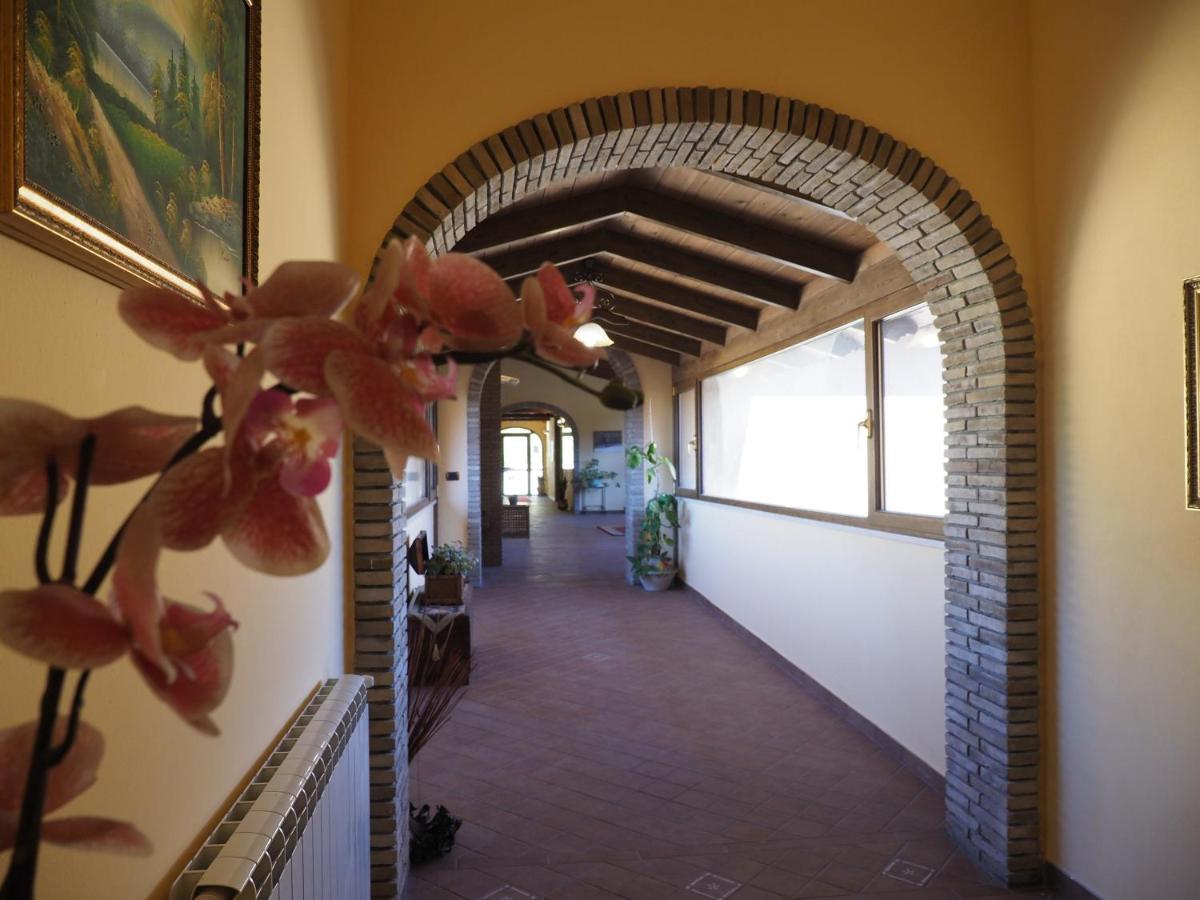 Agriturismo Il Drago Mirabella Imbaccari Екстериор снимка
